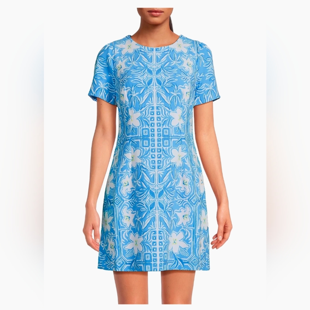 Like New, Worn Once Lillly Pulitzer Dixey Printed Minidress